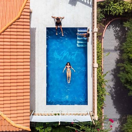 Duque Nest Hostel 阿德耶 外观 照片